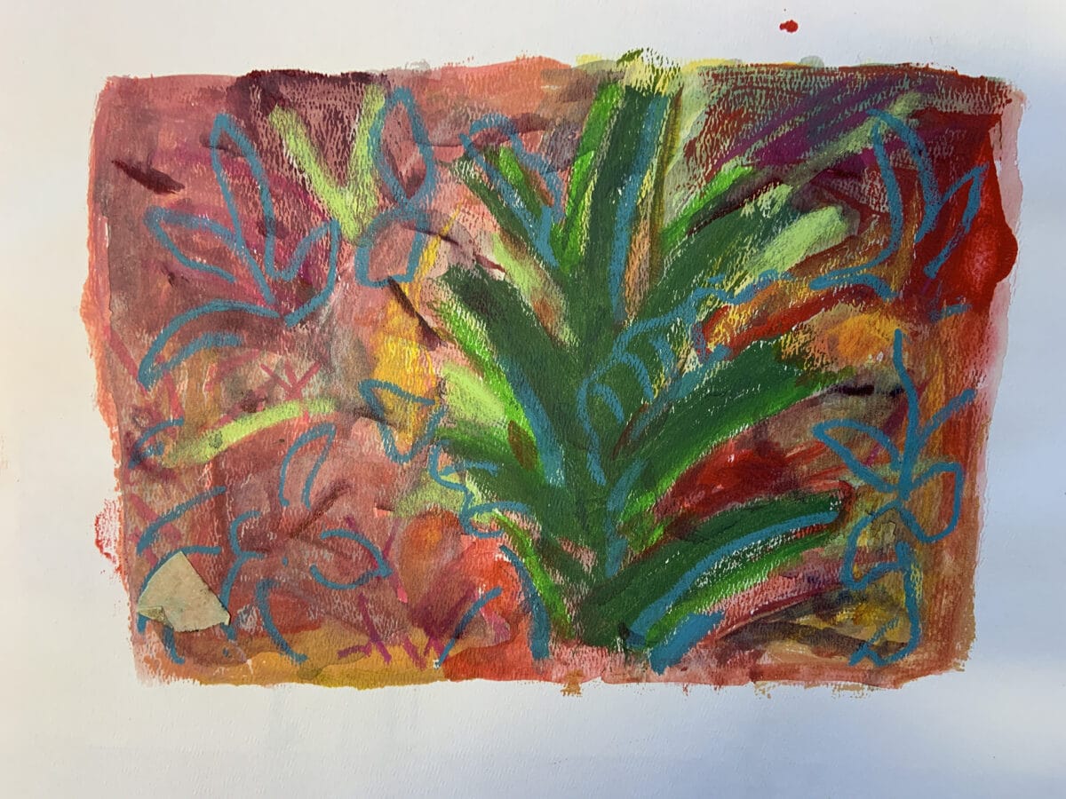 drawing of plants