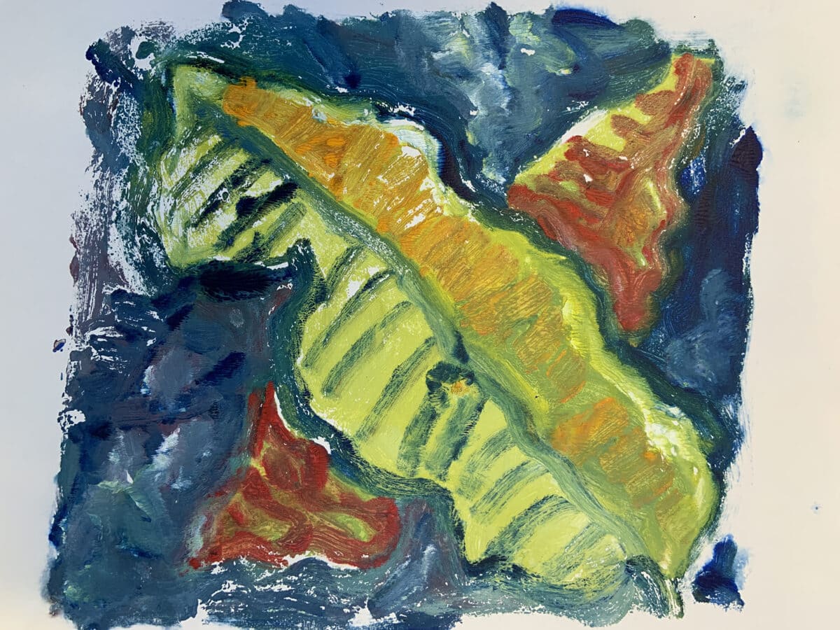 drawing of plants