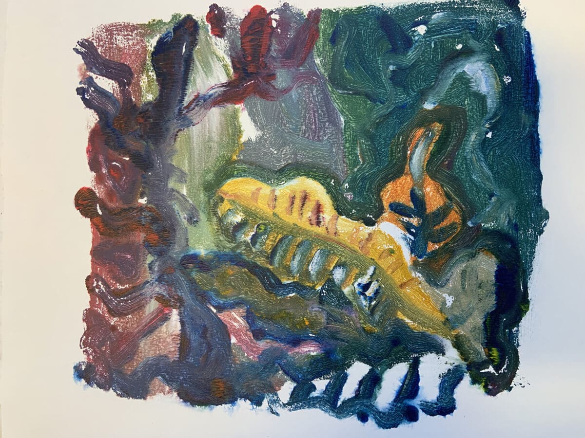drawing of plants