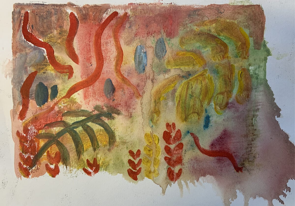 drawing of plants