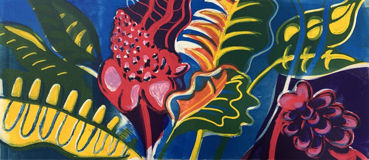 colourful plants
