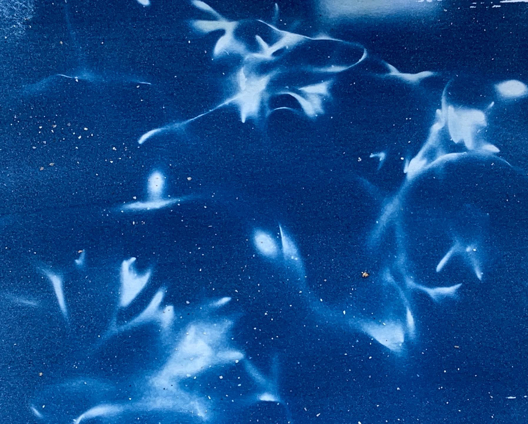 Cyanotype test